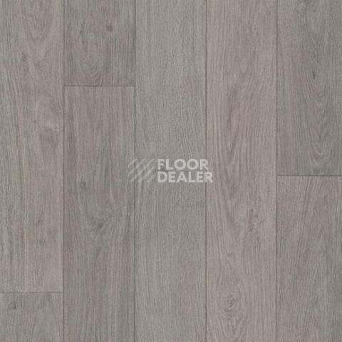 Линолеум Forbo Eternal Wood 12862 grey oak фото 1 | FLOORDEALER